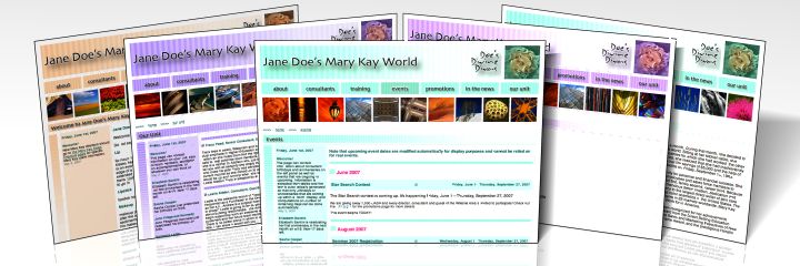Website Sample 2
