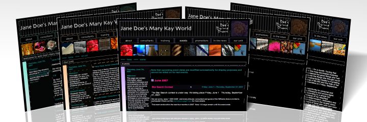 Website Sample 3